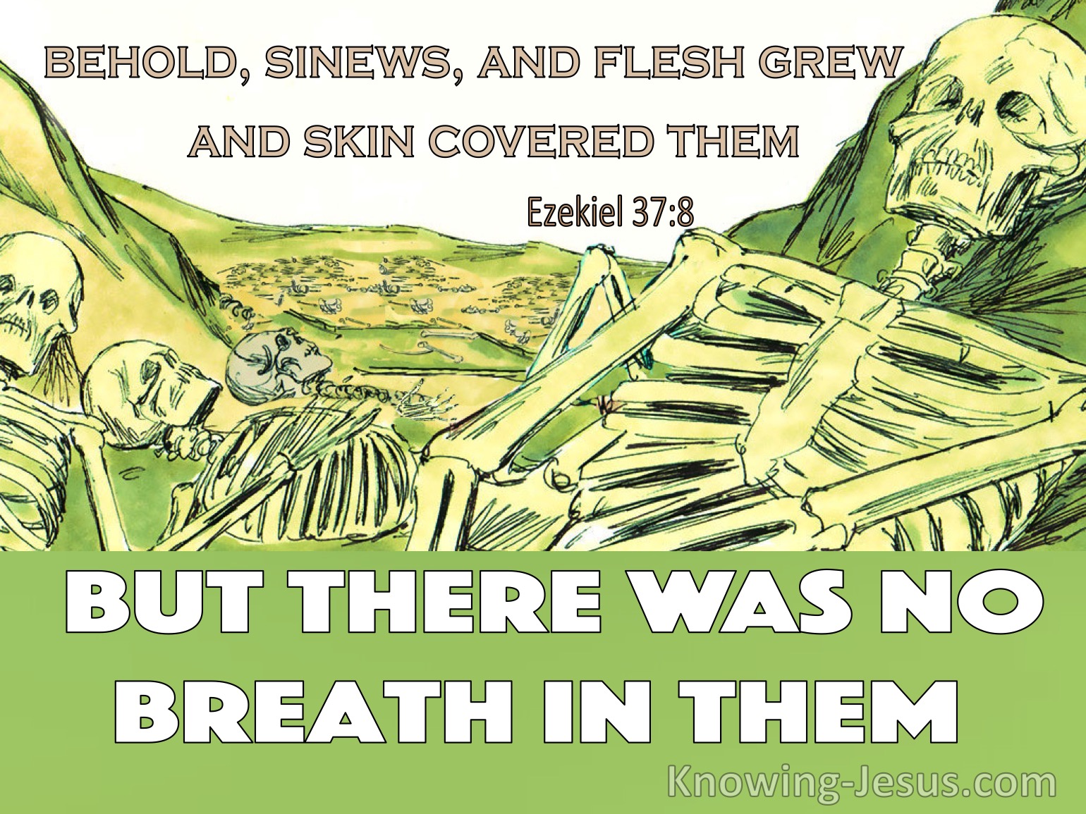 What Does Ezekiel 37 8 Mean 